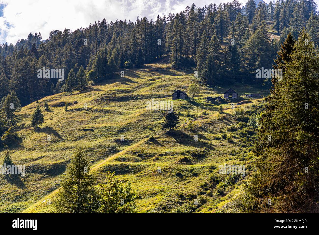 Old farmland of Bosco Gurin, Circolo della Rovana, Switzerland Stock Photo