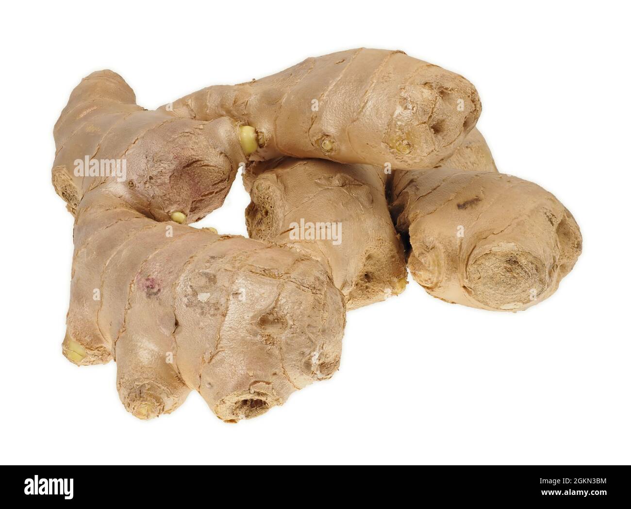 Ginger root isolated on white background Stock Photo