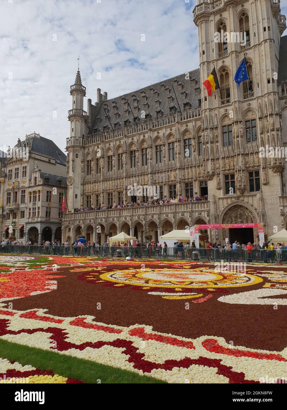 Brüssel - Grand Place - Herz und Bühne der Stadt (Blumenteppich 2018) Stock Photo