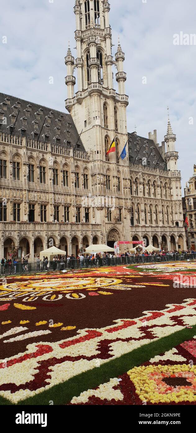 Brüssel - Grand Place - Herz und Bühne der Stadt (Blumenteppich 2018) Stock Photo