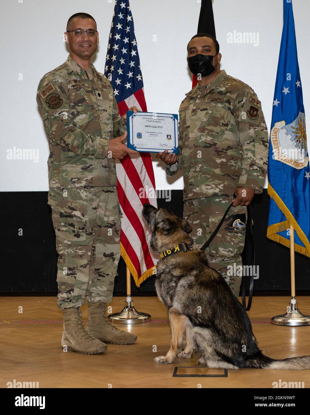 U.S. Air Force Lt. Col. Ben Washburn, 52nd Security Forces Squadron commander (left), and Tech. Sgt. Dontae Stamps, 52nd SFS kennel master, pose for a photo with Military Working Dog Carla during her retirement ceremony at the base theater on Spangdahlem Air Base, Germany, June 3, 2021. Throughout her 11 years stationed at Spangdahlem AB, MWD Carla, a patrol and explosives detector dog, deployed twice and served on countless U.S. Secret Service missions protecting high-ranking U.S. Government officials. Stock Photo