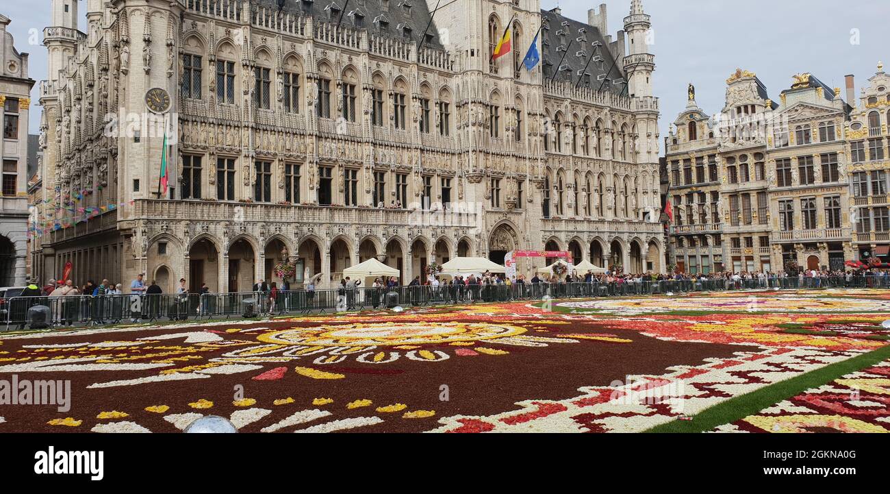 Brüssel - Grand Place - Herz und Bühne der Stadt (Blumenteppich 2018) Stock Photo