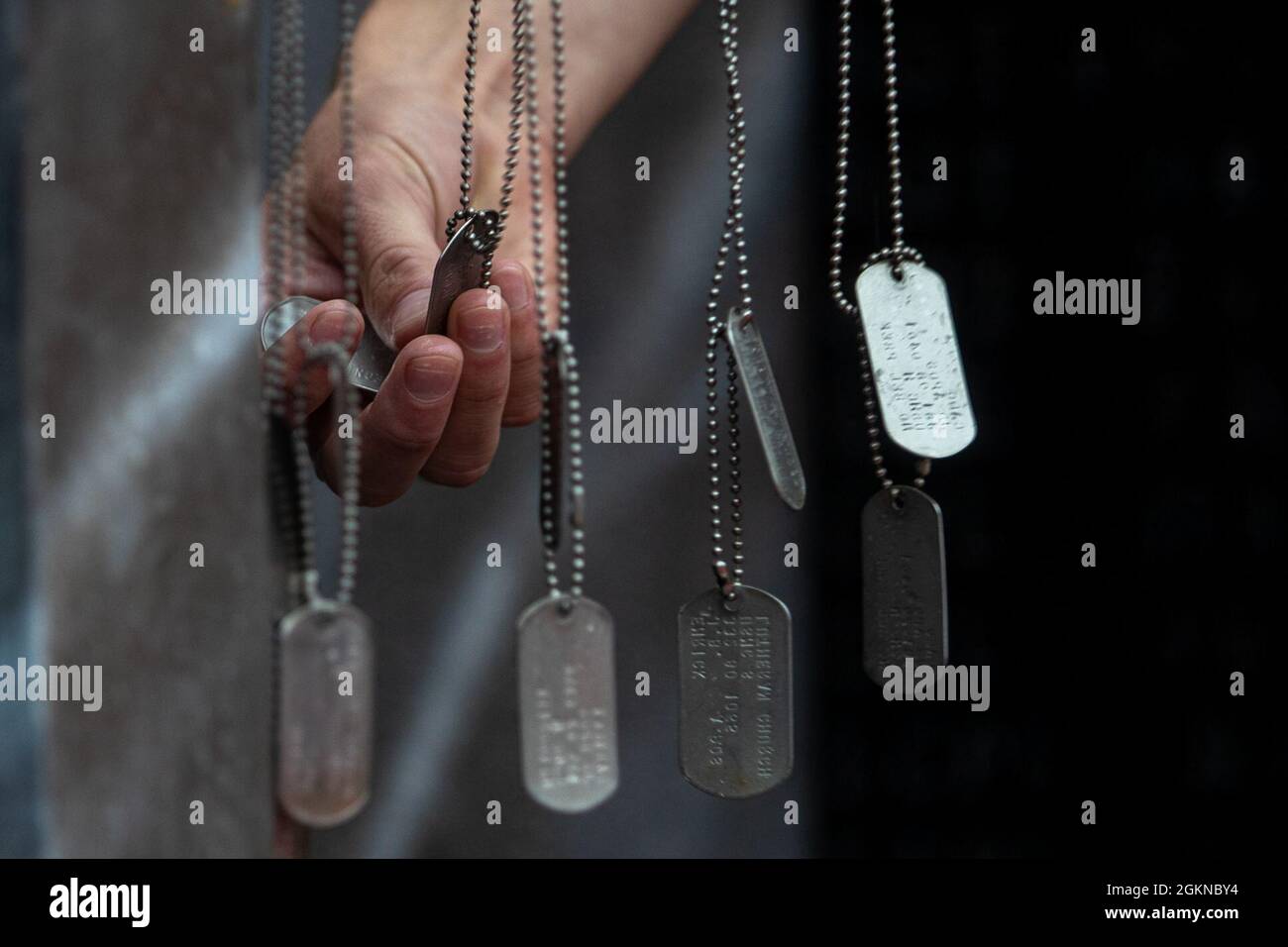 Us marine dog tags new arrivals