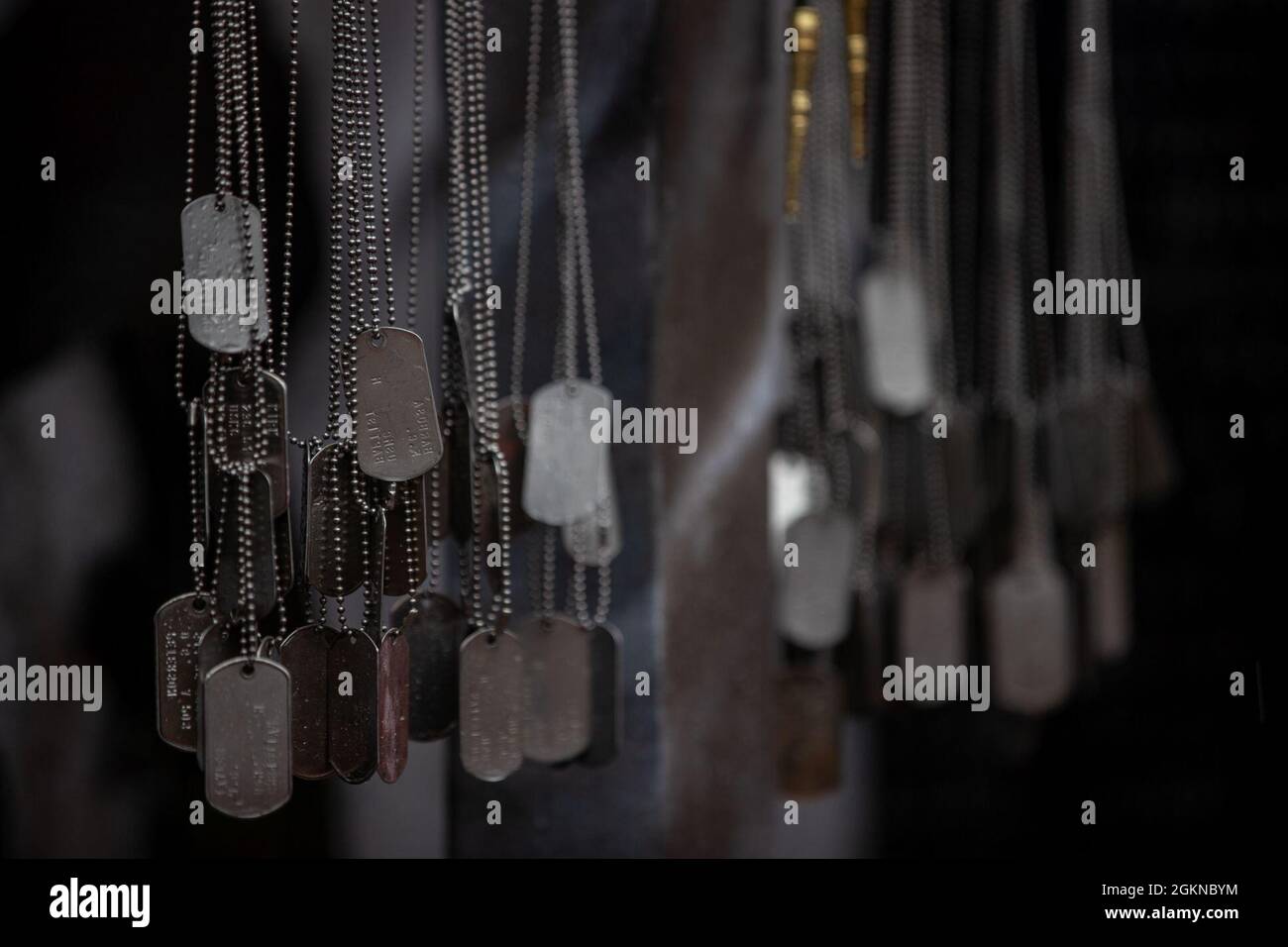 What Do Dog Tags Symbolize