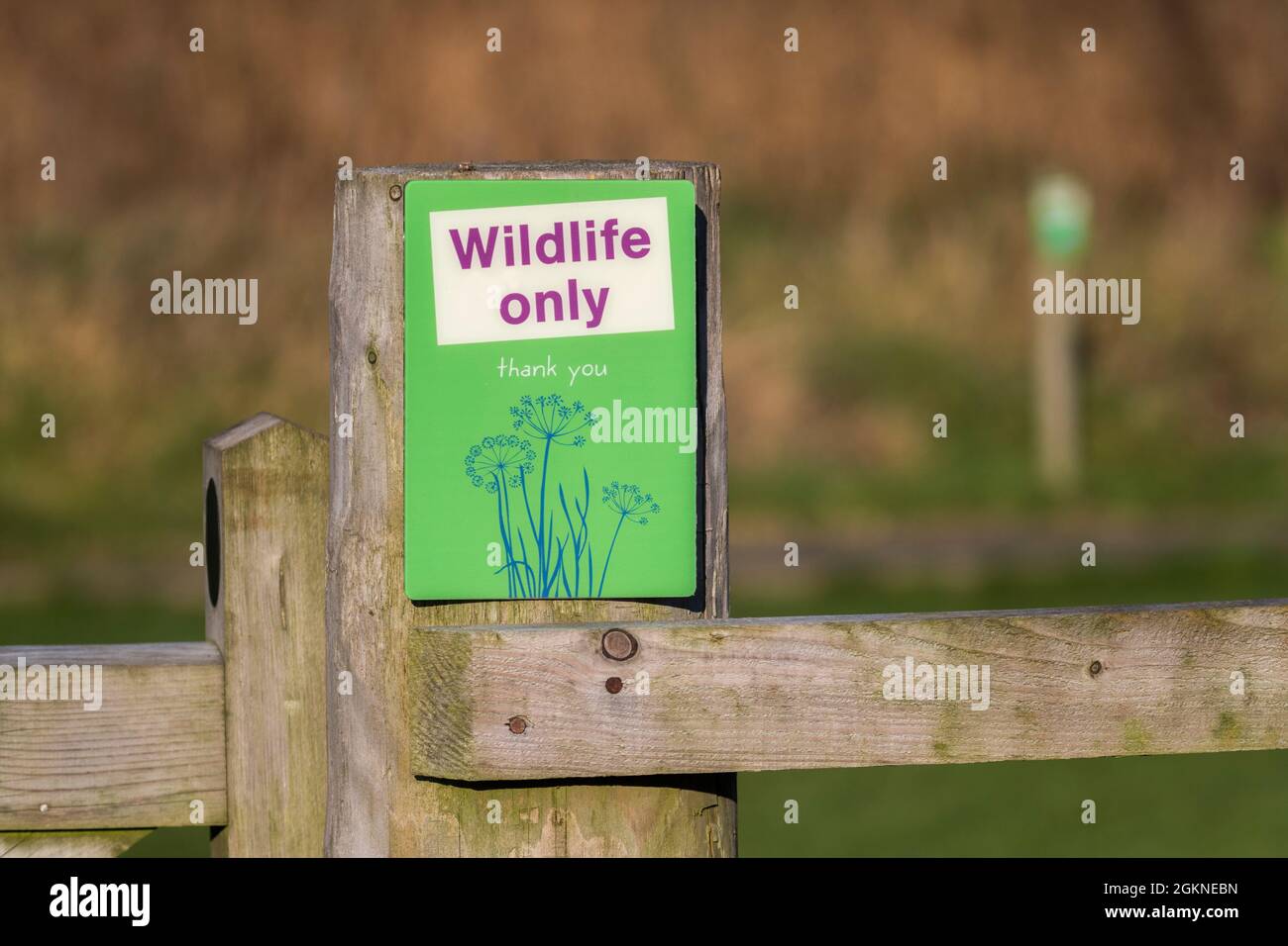 'Wildlife only' sign, Caerlaverock Wildfowl and Wetlands Trust, Dumfries & Galloway, Scotland, UK Stock Photo