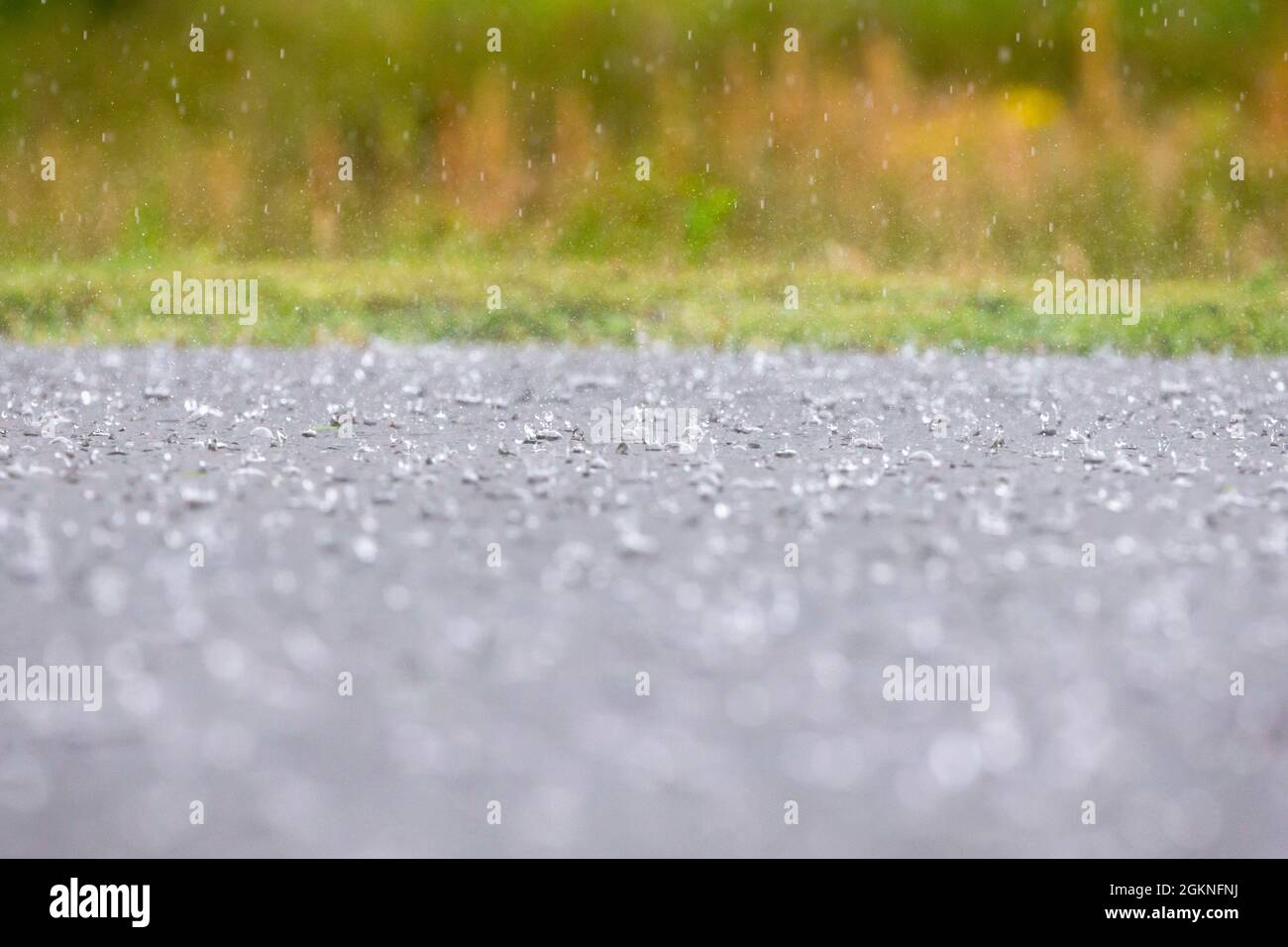 Driving, heavy, summer rainfall bouncing off pond, Scotland, UK Stock Photo