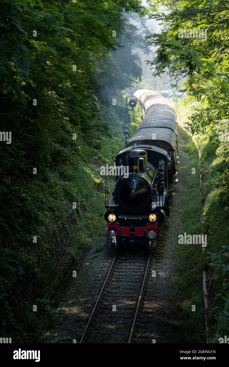 Vintage steam train runs on the tracks in the countryside Stock Photo ...