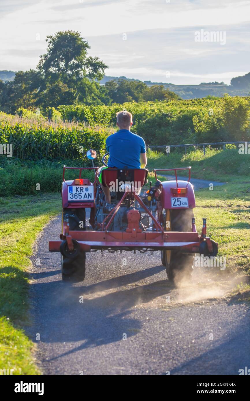 Man riding a tractor among vineyards in Wachau, Austria Stock Photo