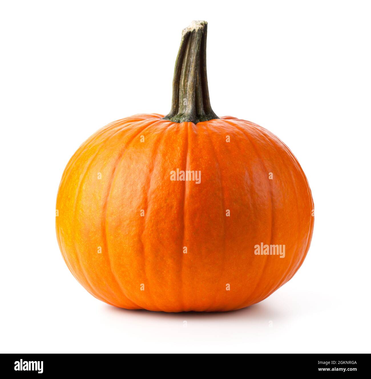 Pumpkin isolated over white background Stock Photo - Alamy