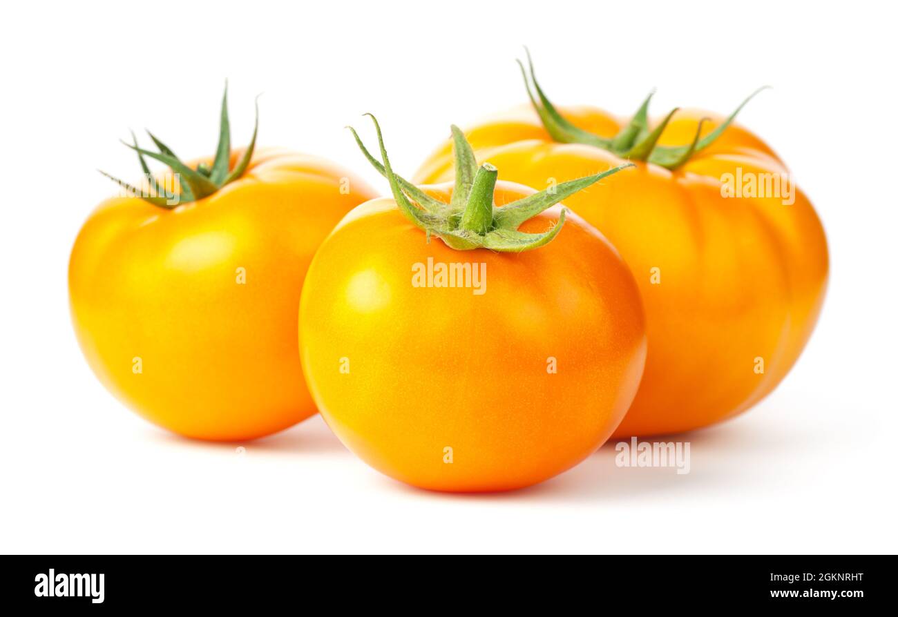 Three Yellow tomatoes isolated on white background Stock Photo