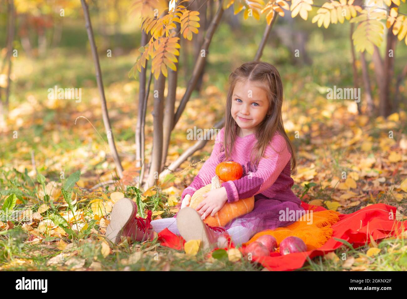 Cute little girl in autumn fall park with orange color leaves and ...