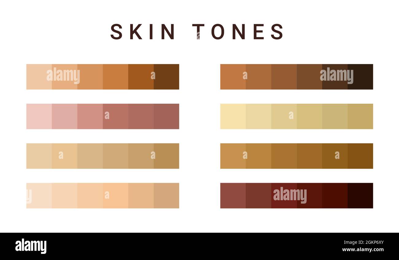 bronze lag indsats Skin tone color scale chart. Brown palette vector human skin infographic  banner icon Stock Vector Image & Art - Alamy