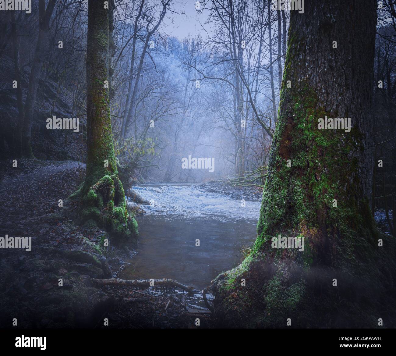 Eerie misty forest and river in winter with fog and moss Stock Photo