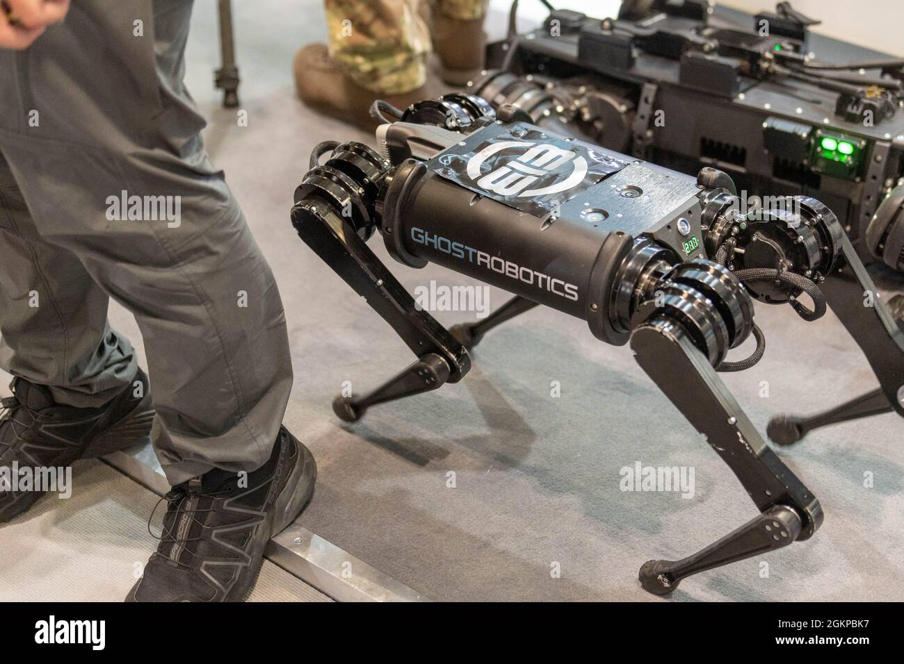 London, UK. 15th Sep, 2021. DSEI (Defence Security Equipment International) exhibition at the Excel Centre London Robotic dog Credit: Ian Davidson/Alamy Live News Stock Photo