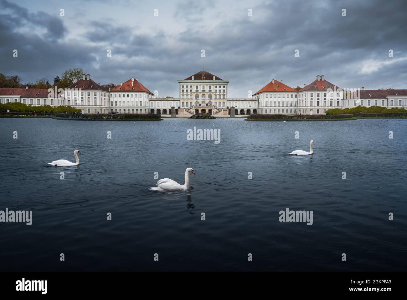 Swans swimming in front of Nymphenburg Palace - Munich, Bavaria, Germany Stock Photo