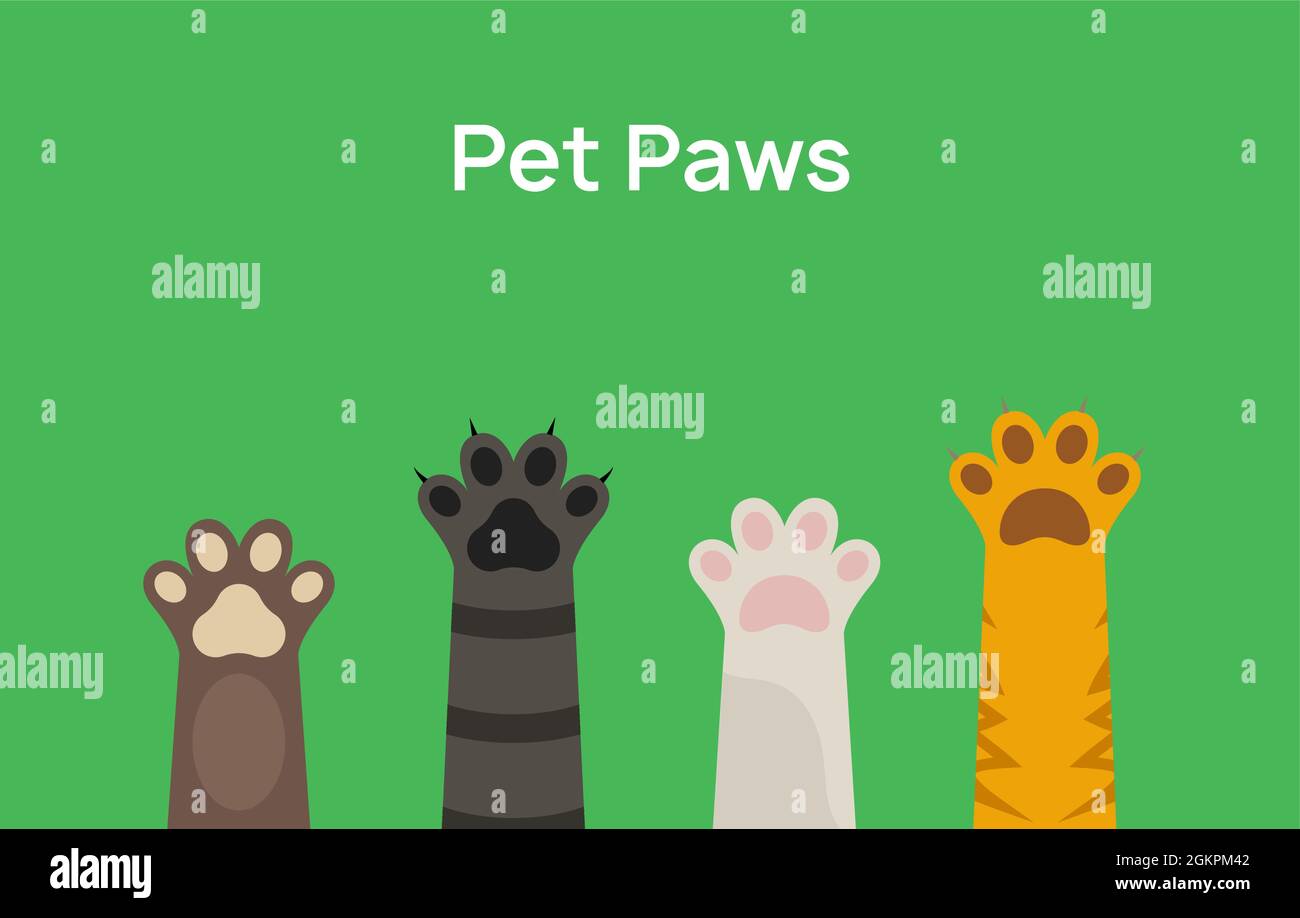 Pet paw print vector icon. Dog or cat foot black paw animal isolated ...