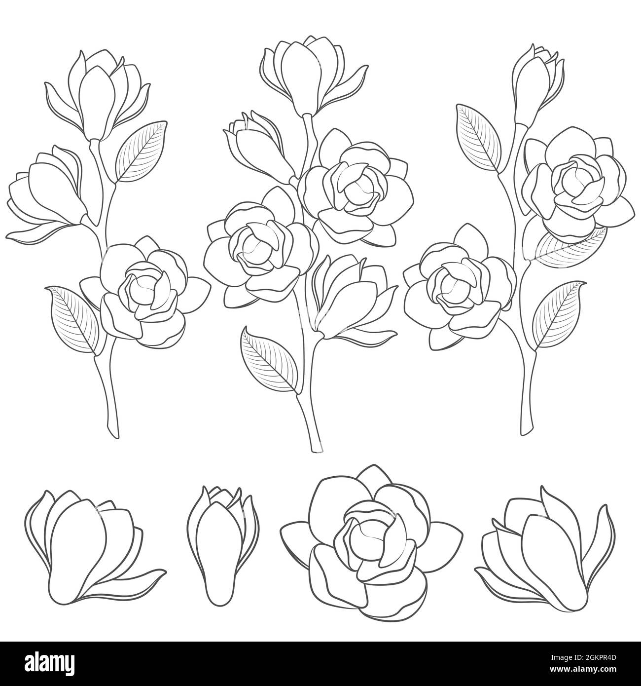 Set of black and white illustrations with flowering magnolia branches. Isolated vector objects on white background. Stock Vector