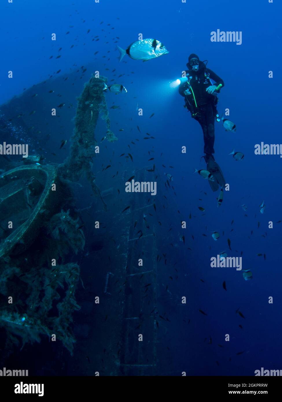 Diver at the MS Zenobia shipwreck. MS Zenobia was a Swedish built Challenger-class RO-RO ferry launched in 1979 that capsized and sank close to Larnac Stock Photo