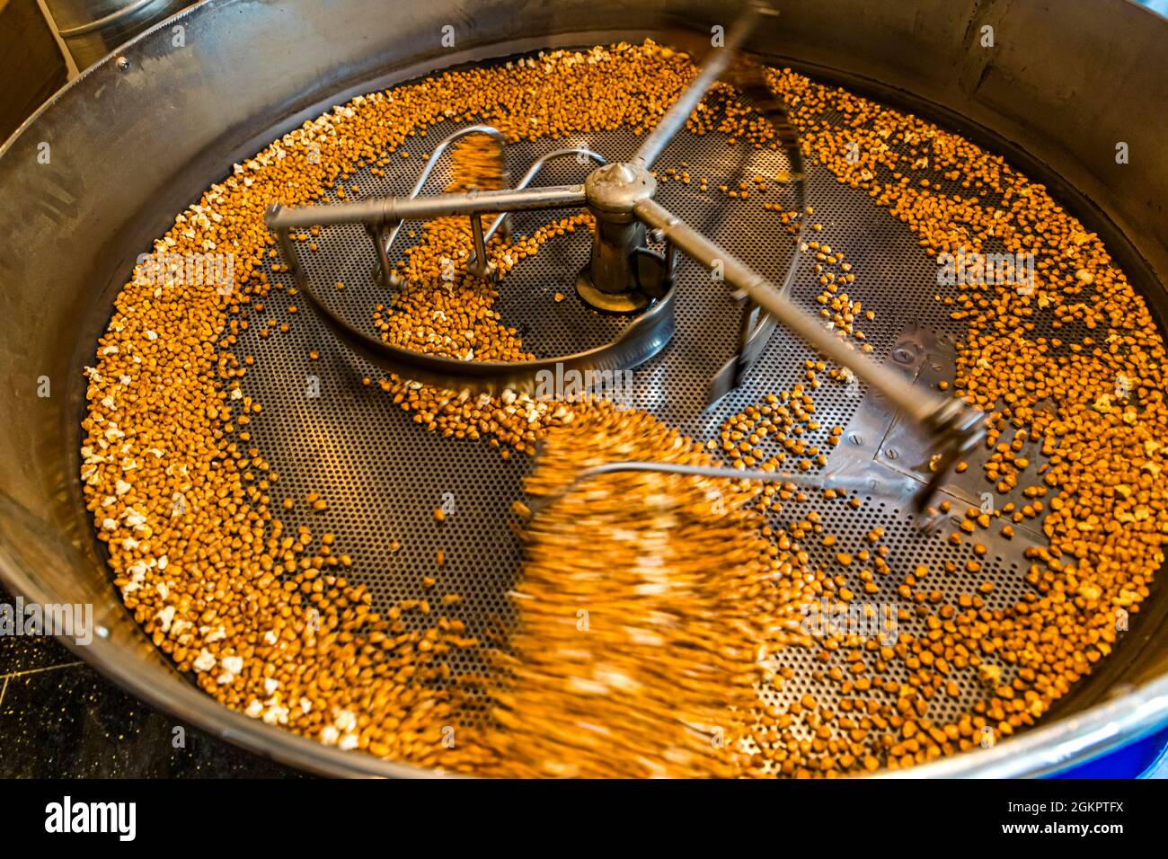 The roasted corn kernels cool as they are constantly moved. In a coffee roasting machine, the corn kernels are roasted at 200 degrees. When about 1/3 of the grains are popped, the perfect degree of roasting for Farina Bona is reached. Circolo d'Onsernone, Switzerland Stock Photo