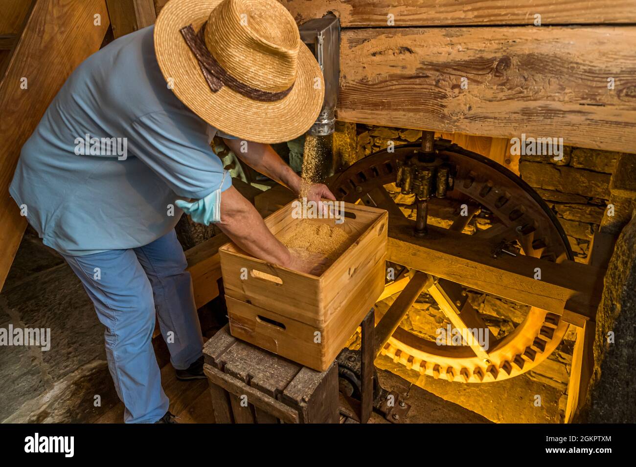 Different products are obtained from the different milling degrees. The fine and silky Farina Bona flour is used for baking and flavoring dishes. While outside the mill wheel is driven by water power, inside the mill an ancient mechanism still ensures the perfect fineness of Farina Bona in Circolo d'Onsernone, Switzerland Stock Photo