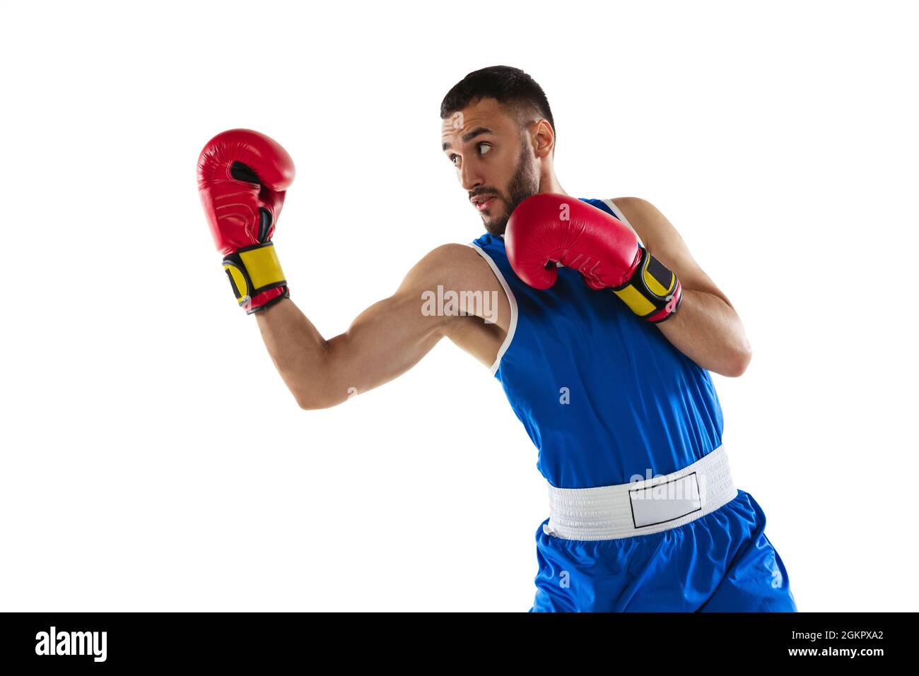 Portrait of one professional boxer in blue uniform training isolated ...
