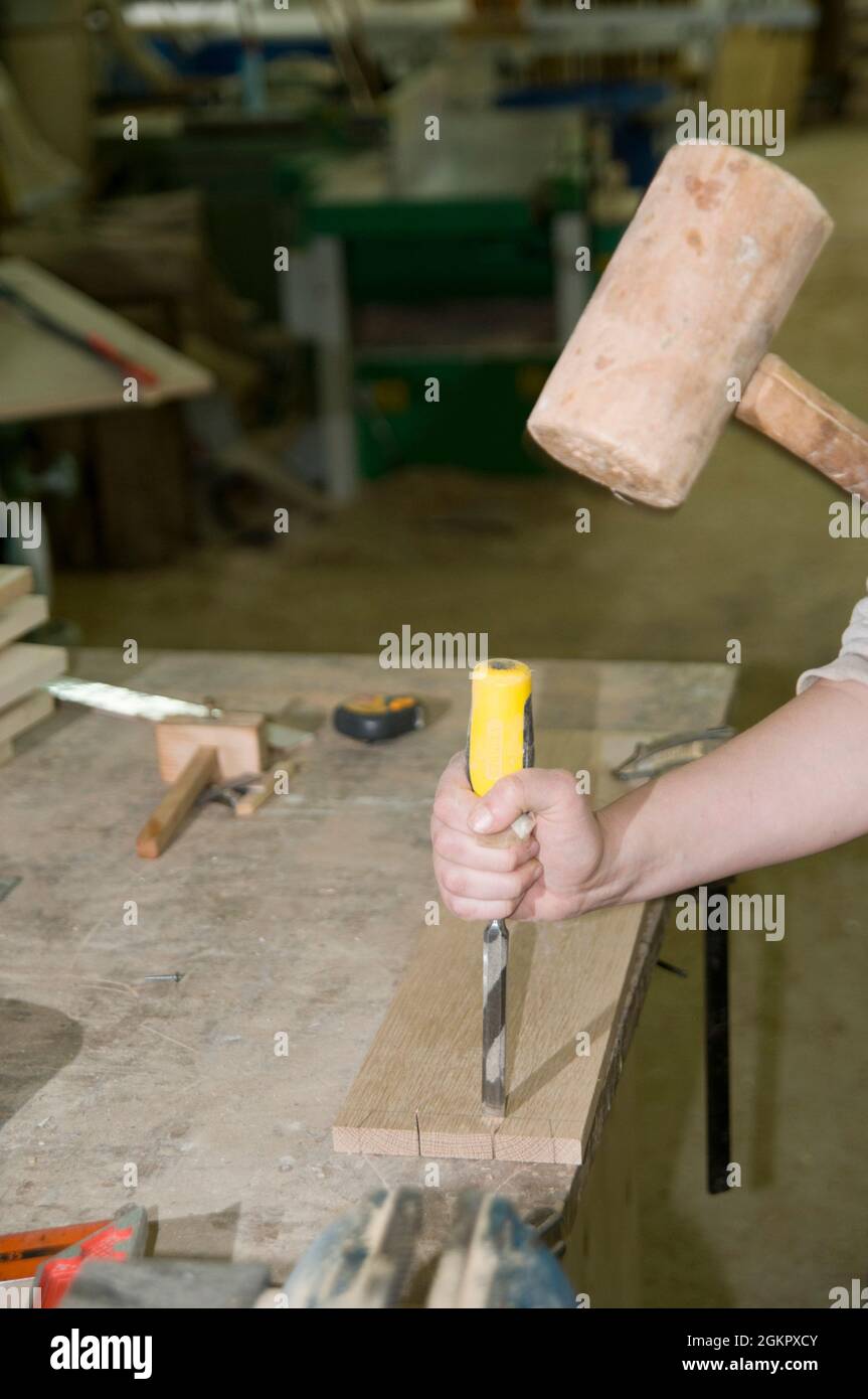 Female carpenter uses a chisel to cutout a dovetail joint Stock Photo