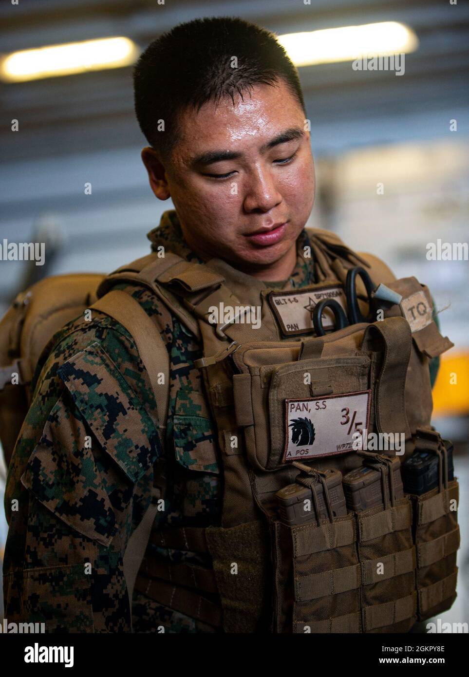 A U.S. Navy Seaman Stanley Pan, with Battalion Landing Team 3/5, 31st  Marine Expeditionary Unit (MEU), poses for a photo after conducting a live  demonstration of a fresh old blood transfusion aboard