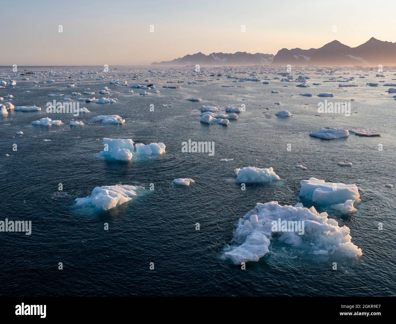 Brash ice off the east coast of Greenland, Polar Regions Stock Photo