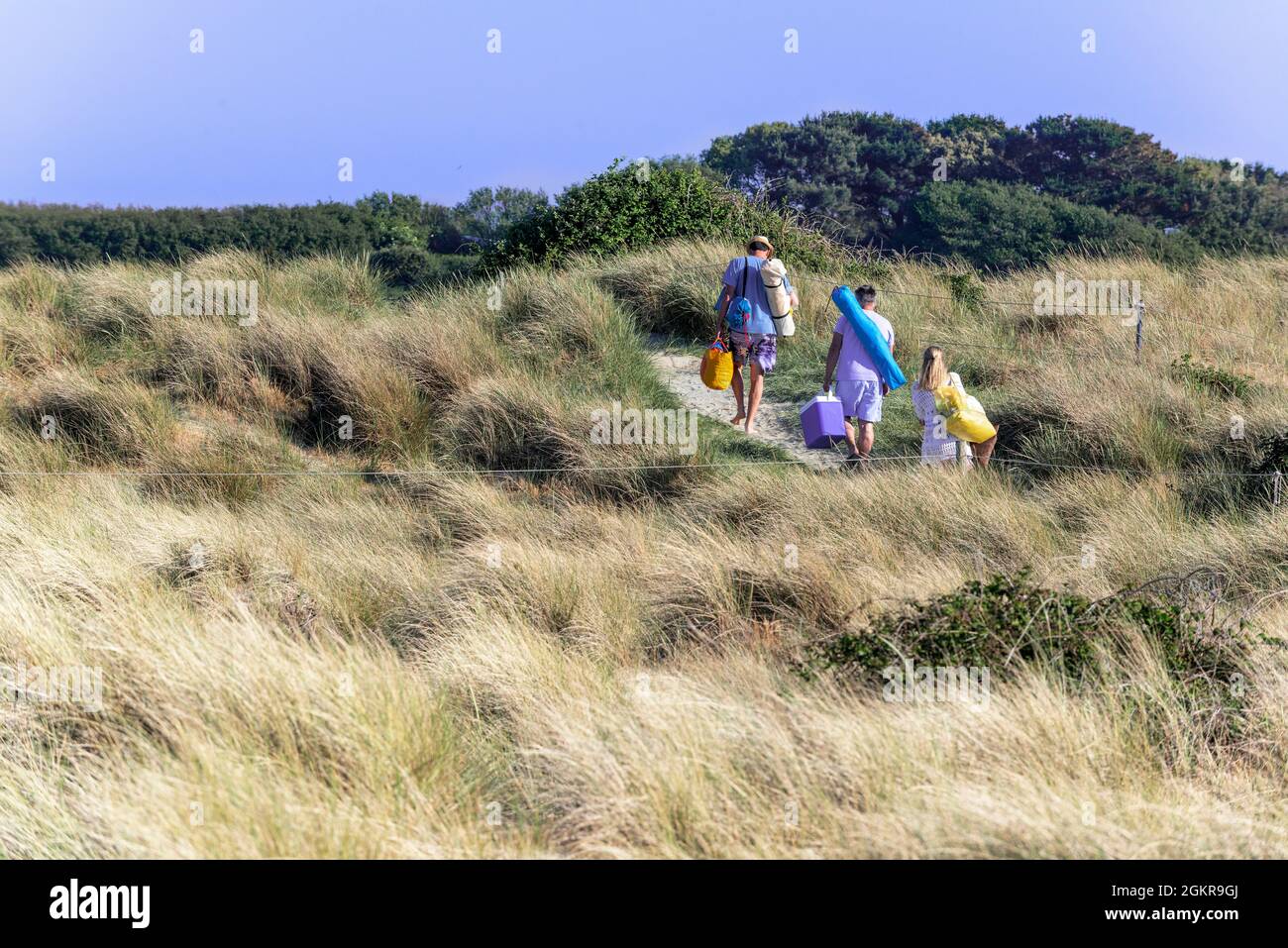 Family walking on footpath through the sand dunes to the sea on a hot sunny day at West Wittering, Chichester Harbour, West Sussex, England Stock Photo