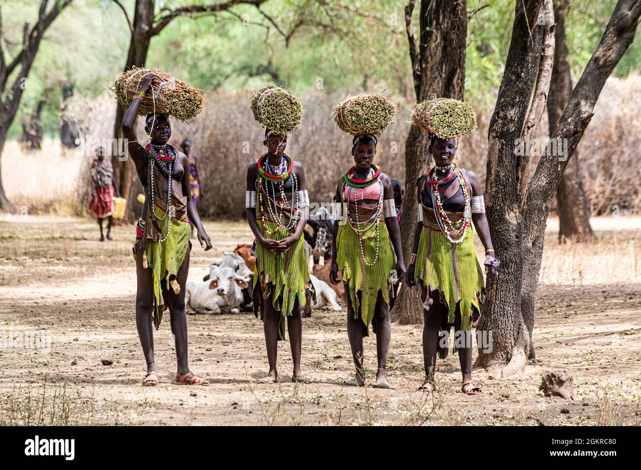 Girls with collected reeds on their heads on their way home, Toposa tribe, Eastern Equatoria, South Sudan, Africa Stock Photo