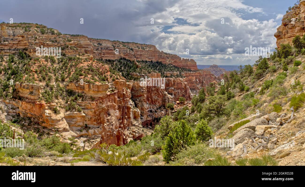 Grand Canyon North Rim from the end of the Cliff Spring Trail near Cape ...