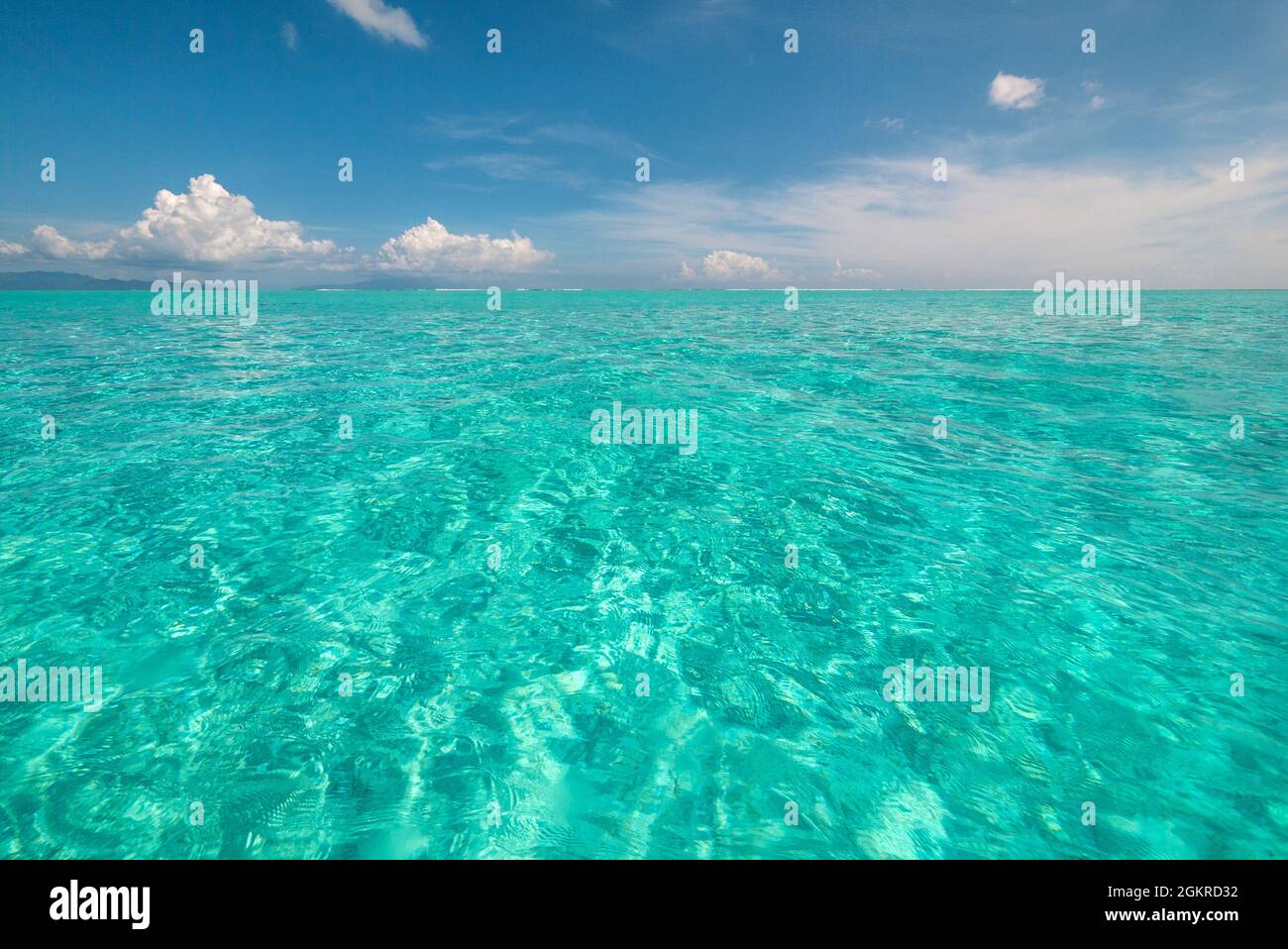 The crystal clear lagoon waters of French Polynesia on a calm sunny day, French Polynesia, South Pacific islands, Pacific Stock Photo