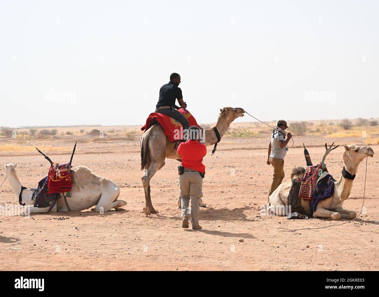 A U.S. service member assigned to Nigerien Air Base 201 rides on a camel during a bazaar at the base June 20, 2021 at Air Base 201, Niger. Camel riding was provided by local Tsakatalem camel herders. Stock Photo