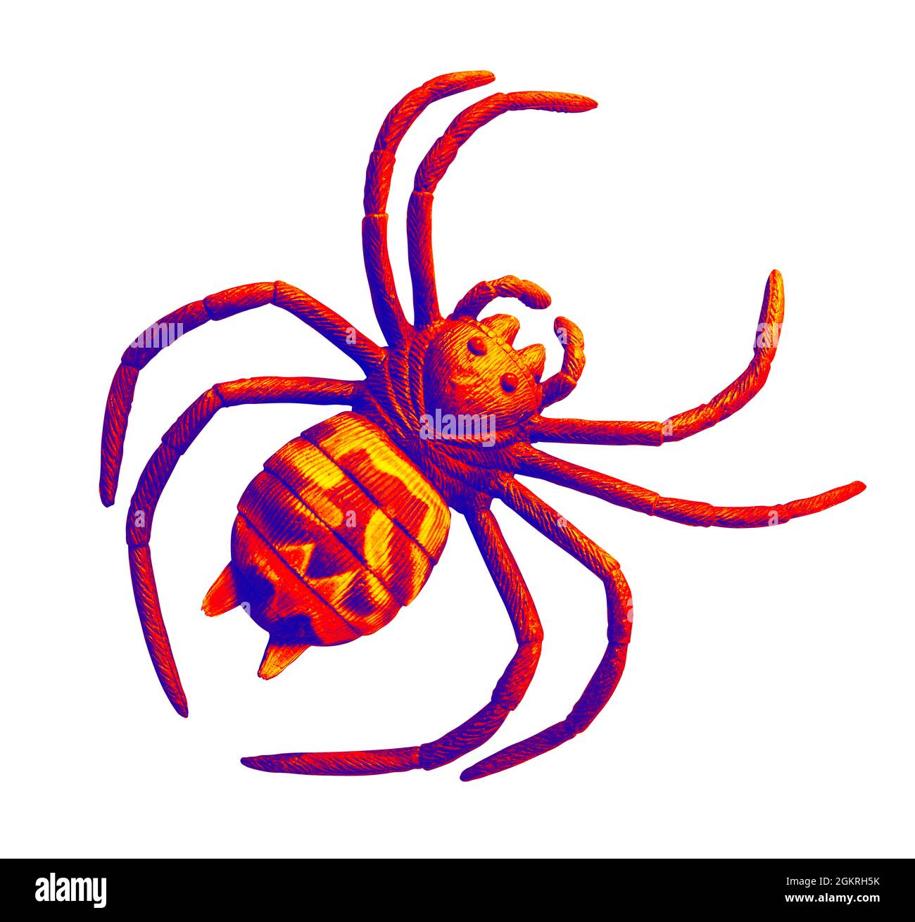 Colourful toy plastic toy spider illuminated by red and purple light, isolated on a white background, with clipping path Stock Photo