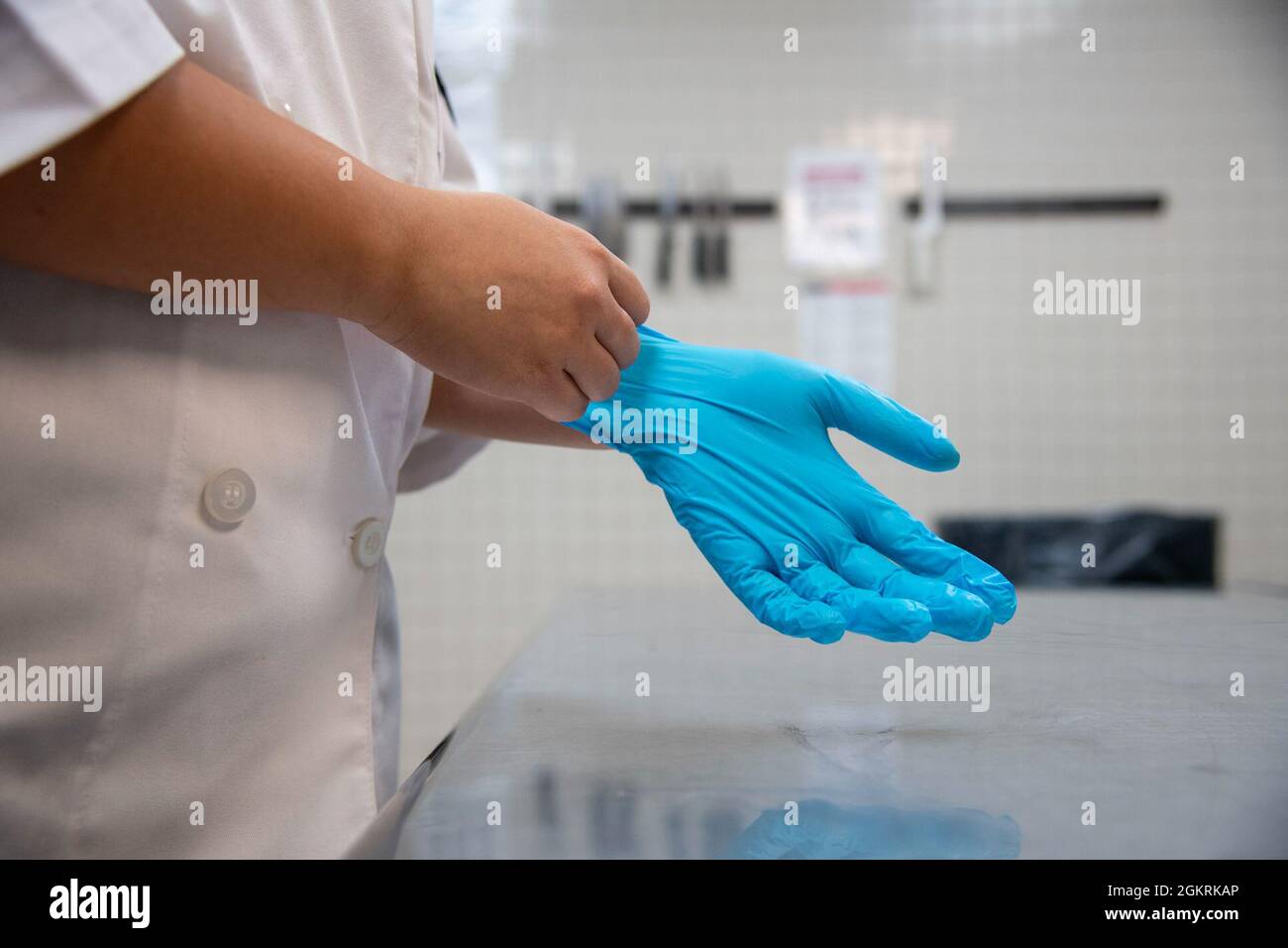U.S. Air Force Senior Airman Haley Garces, 6th Force Support Squadron food services journeyman, dons a pair of gloves at MacDill Air Force Base, Florida, June 15, 2021. Garces used proper health precautions ensuring that she didn’t contaminate any of the food she prepared. Stock Photo