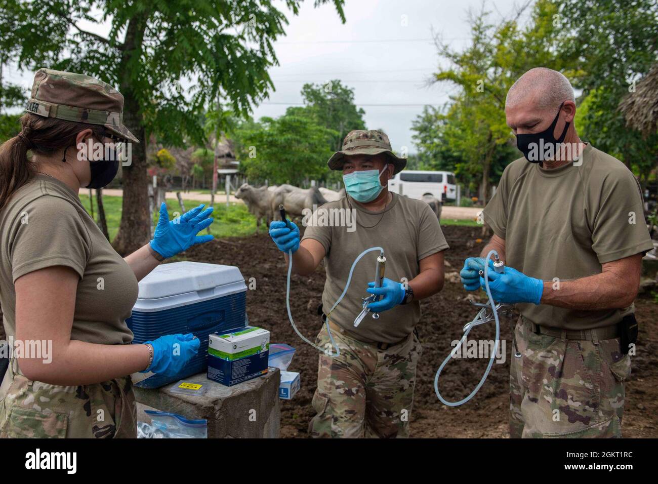 From right to left, U.S. Army Maj. Matthew Conlan, a veterinarian, and field veterinary service technicians, U.S. Army Staff Sgt. Rene Aventura and U.S. Army Pfc. Sonya Walker, all with the 109th Medical Detachment Veterinary Services out of Garden Grove, Calif., prepare to vaccinate cattle during Resolute Sentinel 21 in Melchor De Mencos, Guatemala, June 24, 2021. While here, the veterinary team will offer large animal care education and vaccinations at various locations during the exercise. Stock Photo