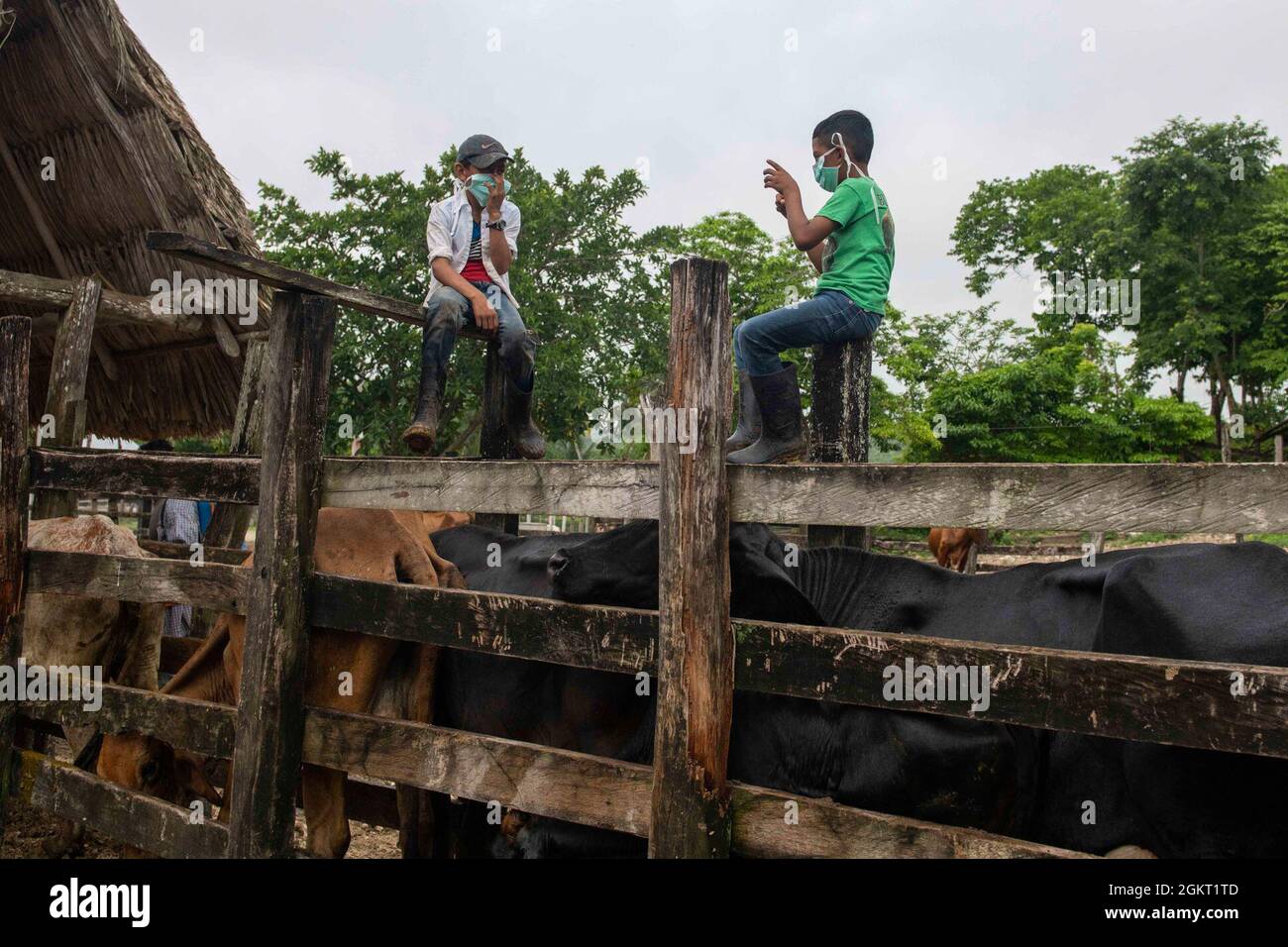 Two young boys talk to each other as the veterinary team prepares to vaccinate cattle in Melchor De Mencos, Guatemala, June 24, 2021. The veterinary team from the 109th Medical Detachment Veterinary Services out of Garden Grove, California, will provide animal care education as well as vaccines for cattle during Resolute Sentinel 21. Stock Photo