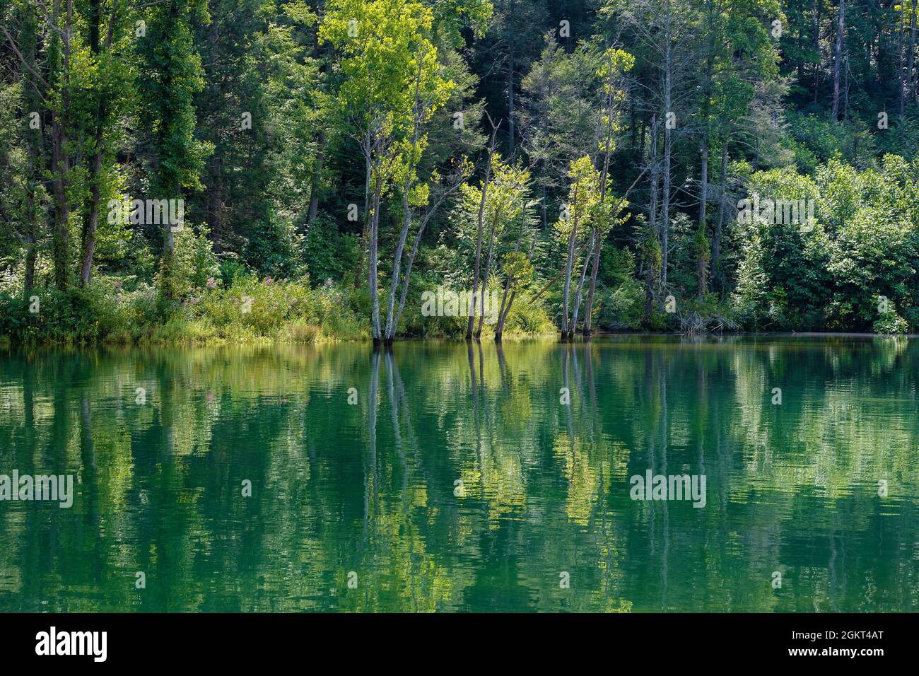 Scenic Landscape view falong the banks of the reflecting clear water of Watauga River in Tennessee. Stock Photo
