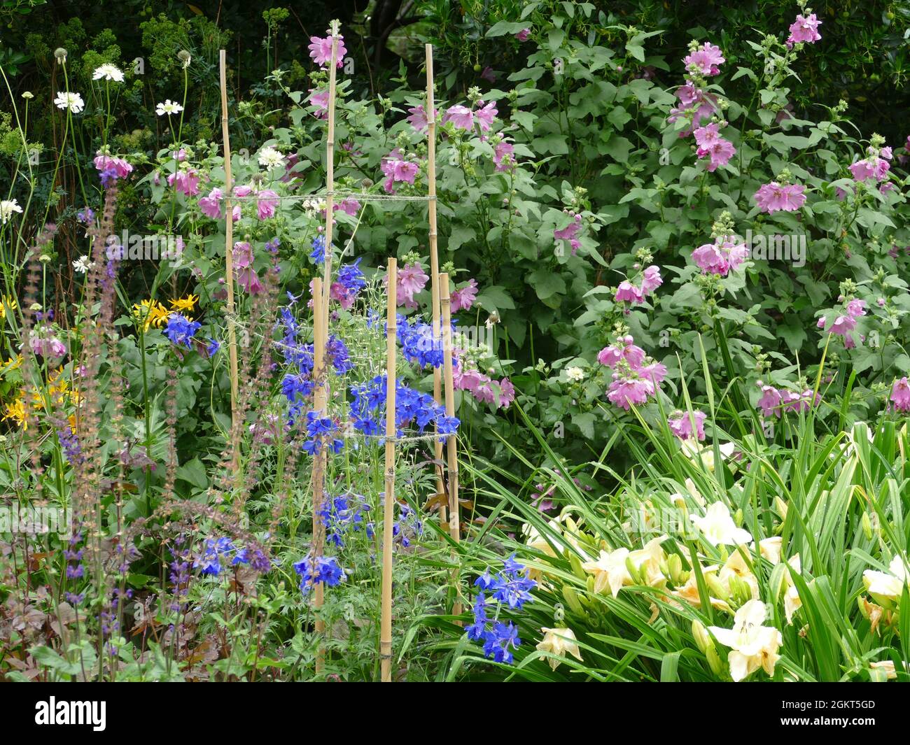 Herbaceous Border in a Typical English Garden Stock Photo