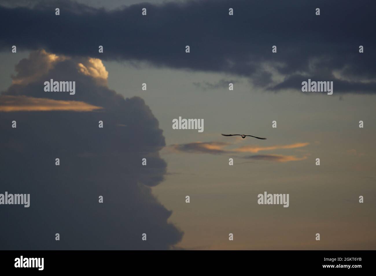 Candy floss sky hires stock photography and images Alamy