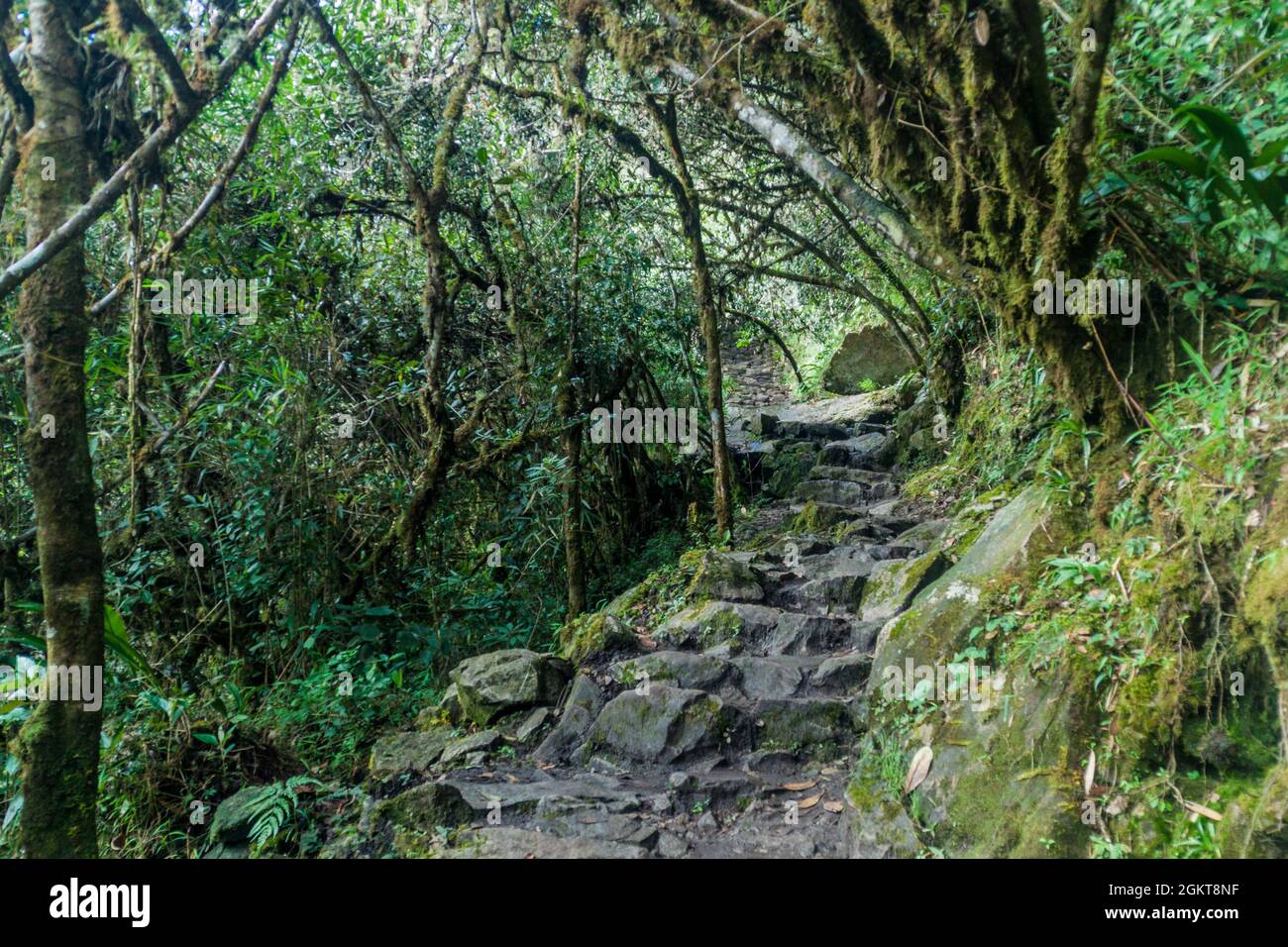 Steep trail leading to Machu Picchu mountain, Peru Stock Photo - Alamy