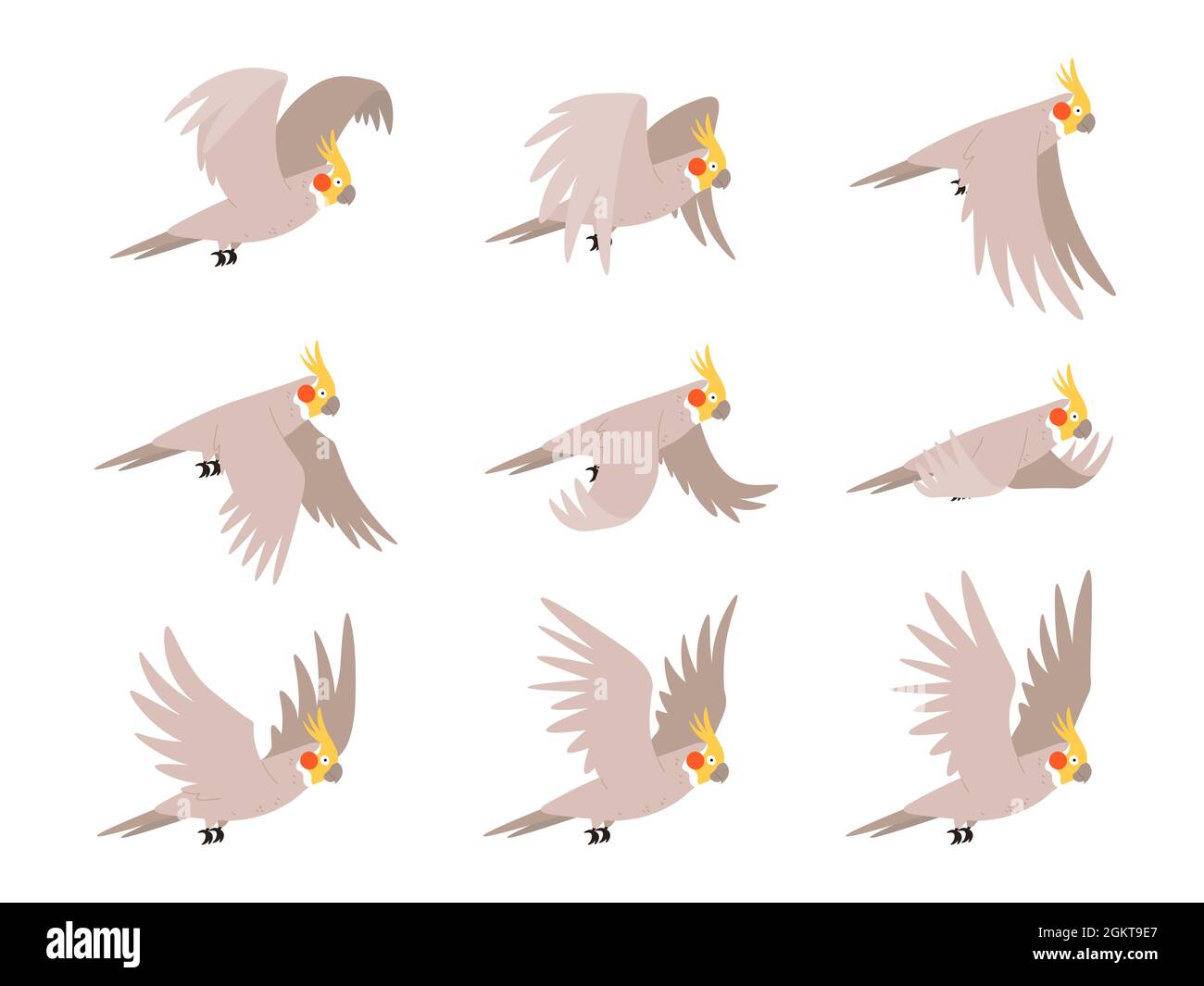 Cartoon cockatoo parrot fly animation frames sequence. Animated sprites  loop of tropical bird flying in sky. Parrot wing vector motion cycle Stock  Vector Image & Art - Alamy