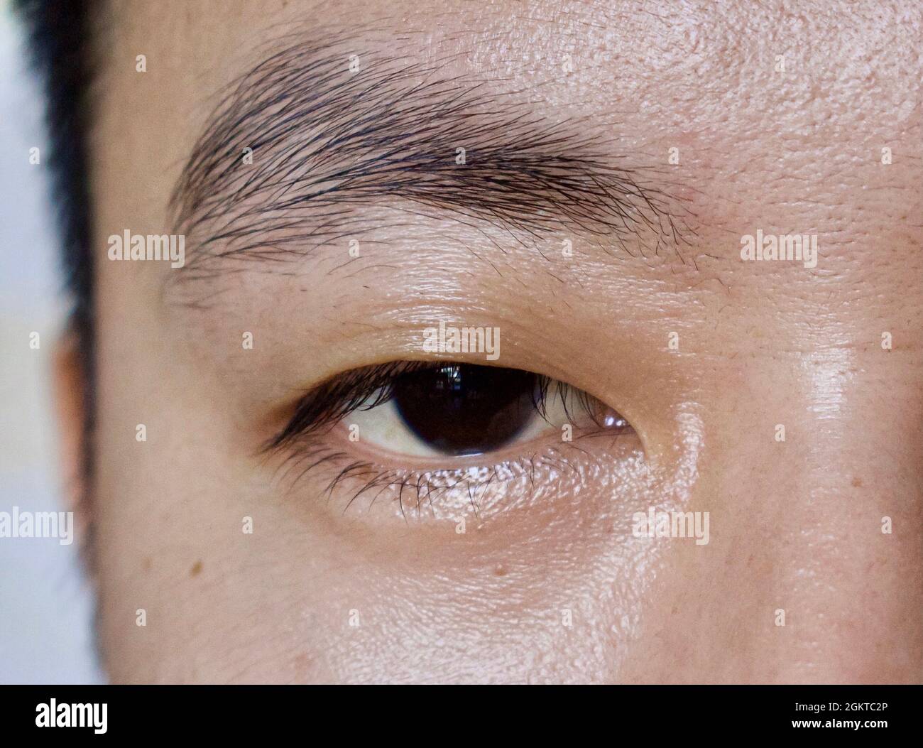 Eyelid crease hi-res stock photography and images - Alamy