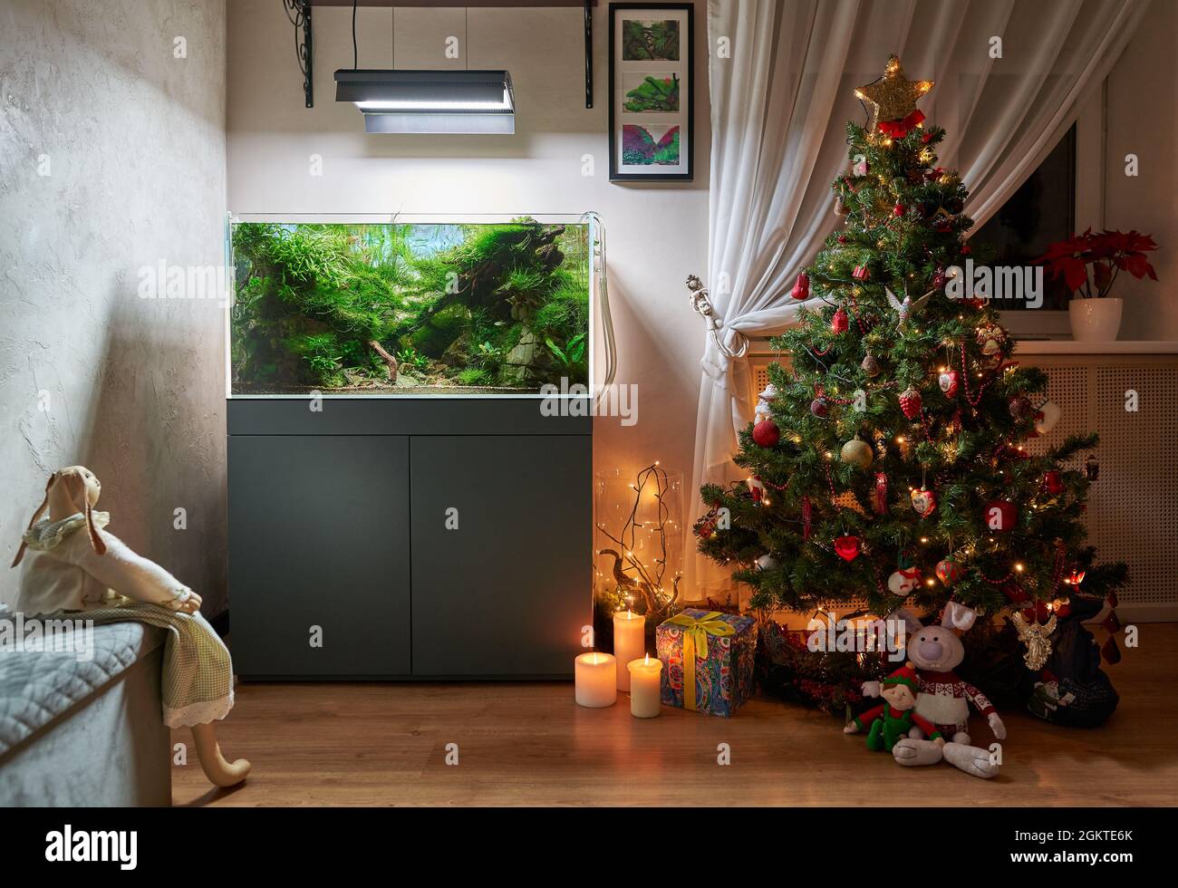 Glowing Christmas tree with aquascape aquarium Stock Photo Alamy
