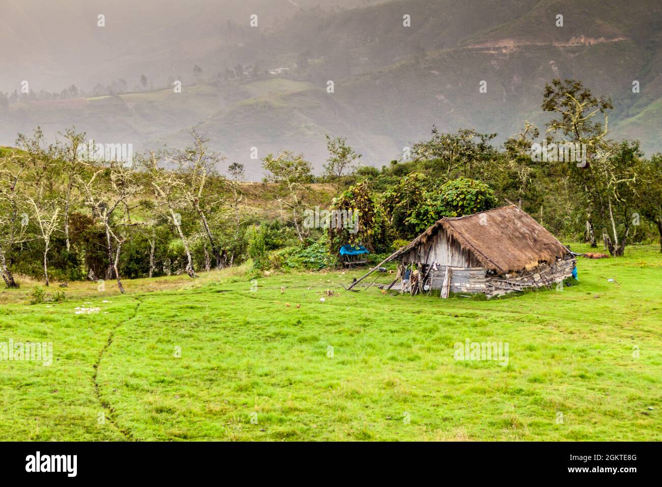 Northern peruvian farm hi-res stock photography and images - Alamy