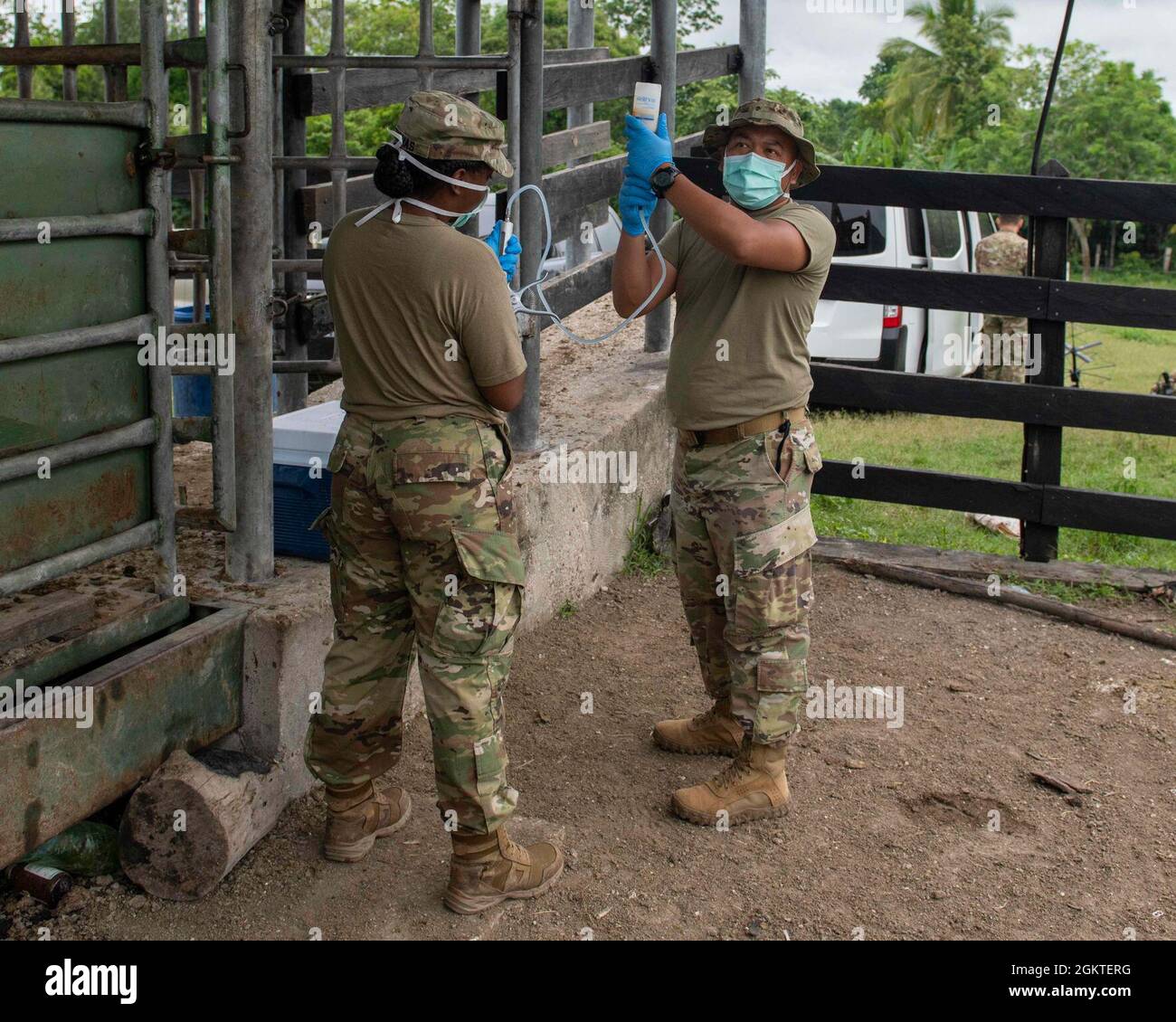 U.S. Army Capt. Shanell Thomas, a veterinarian and U.S. Army Staff Sgt. Rene Aventura, a field veterinary service technician, both with the 109th Medical Detachment Veterinary Services out of Garden Grove, Calif., prepare vaccines for cattle during Resolute Sentinel 21 in Melchor De Mencos, Guatemala, June 29, 2021. RS-21 is an exercise to train U.S. and partner nation military engineers, veterinary personnel and medical professionals for humanitarian assistance and defense interoperability operations. Stock Photo