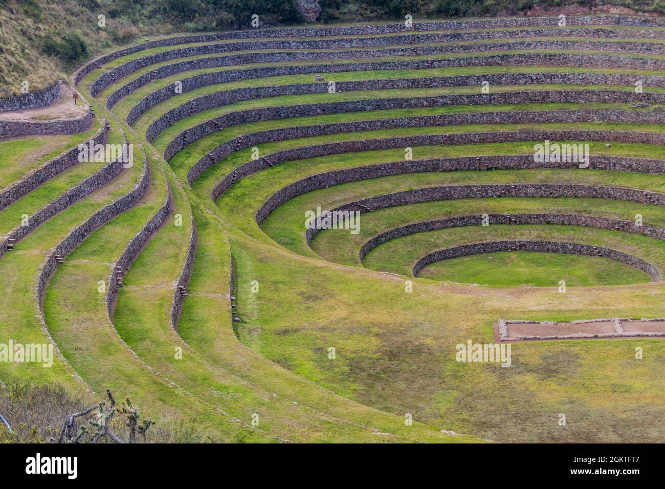 Inca Empire Agriculture