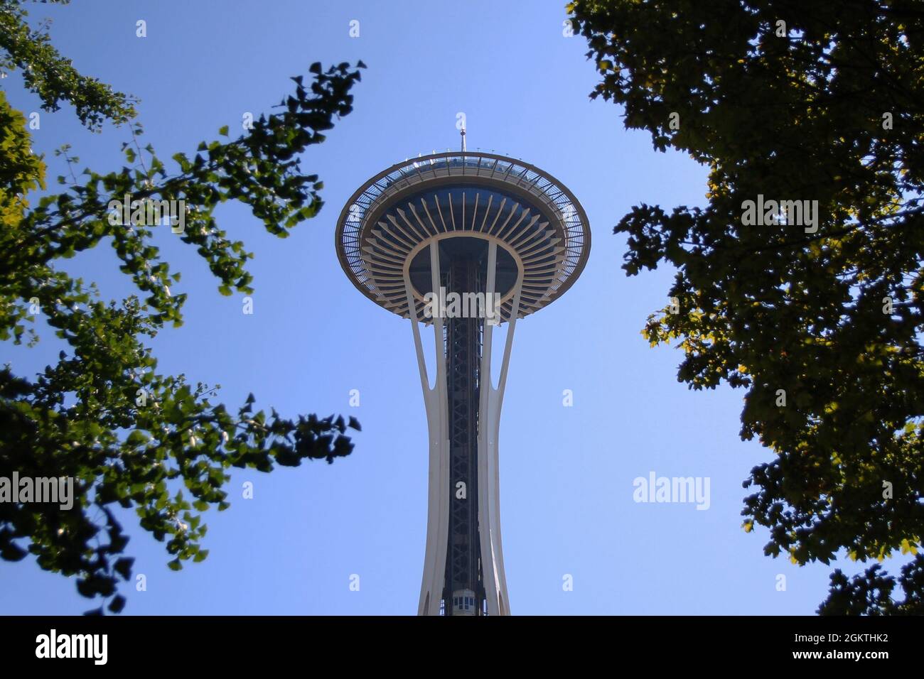 The spectacular Space Needle below the trees in Seattle Stock Photo