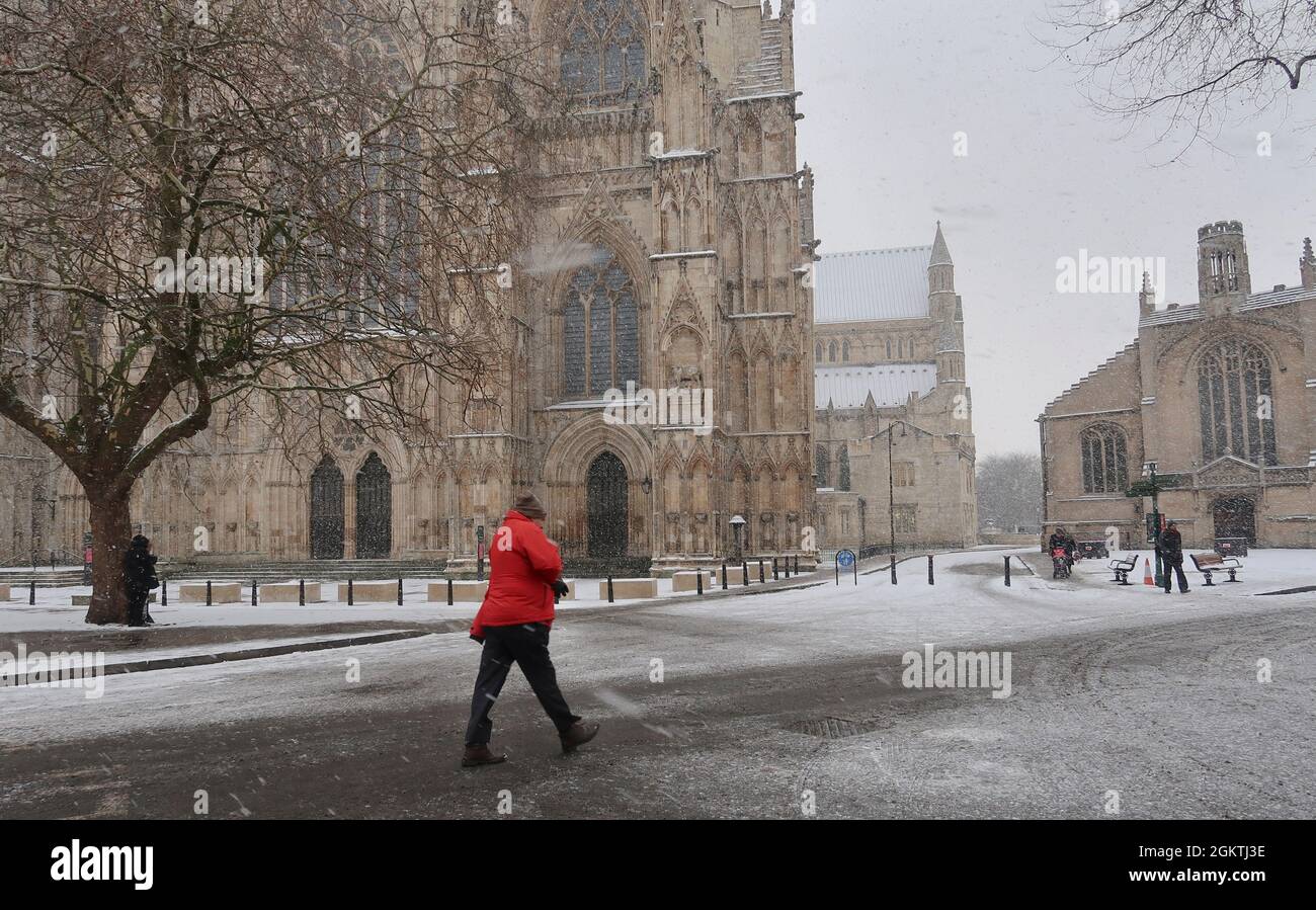 A person walks past York Minster as snow is falling, York, UK Stock Photo