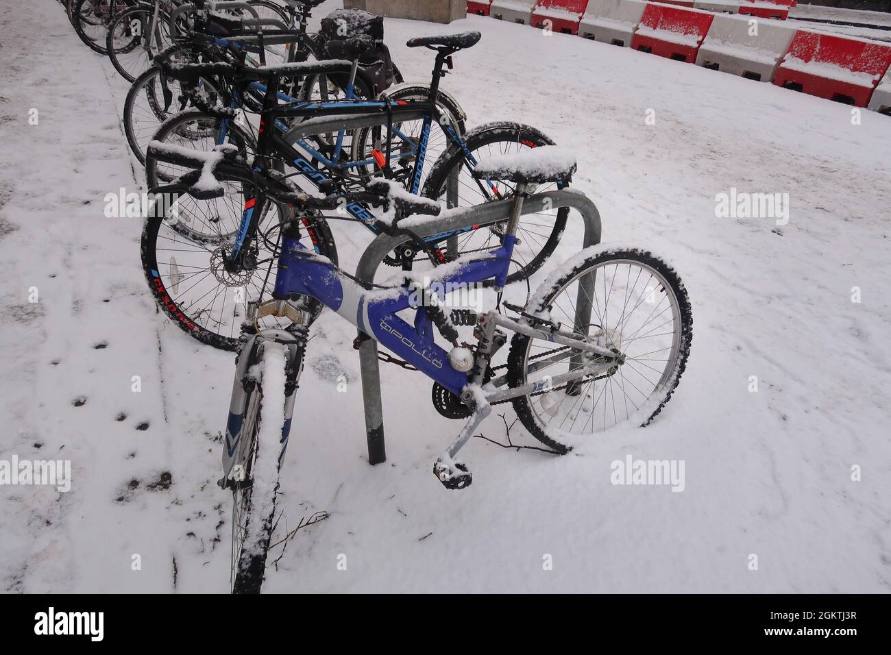 Bicycles covered in snow, York, UK Stock Photo